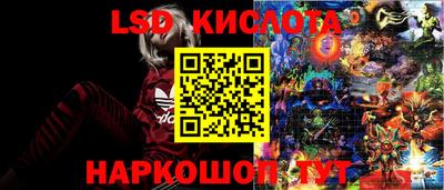 винт Канаш
